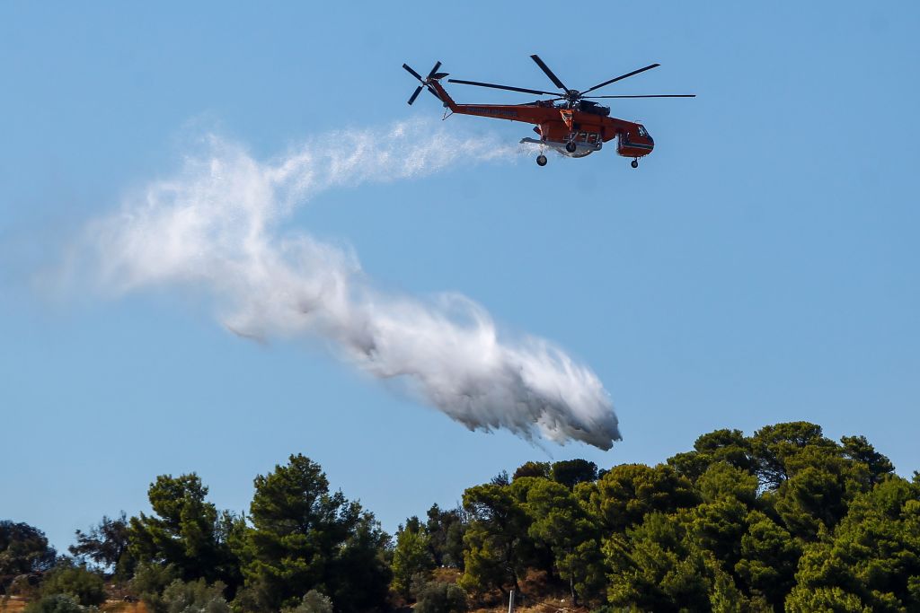 Φωτιά - τώρα: Πυρκαγιά στην Αρτέμιδα | Alphafreepress.gr