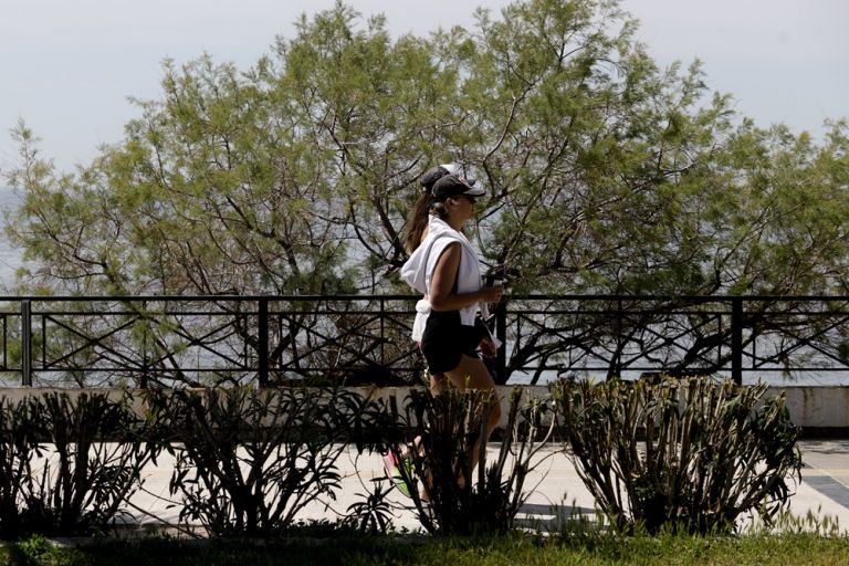 Κρούσματα σήμερα Ελλάδα: Τσιόδρας - Χαρδαλιάς live ...