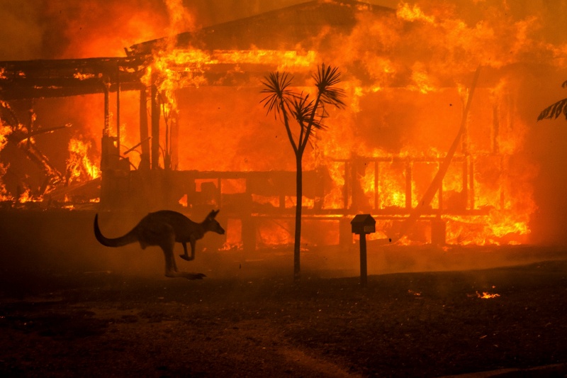Αυστραλία πυρκαγιές: Τραγικός απολογισμός