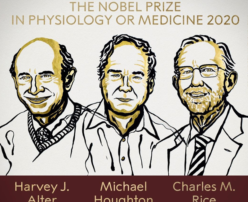 Νόμπελ Ιατρικής 2020: Στους επιστήμονες που ανακάλυψαν τον ιό της ηπατίτιδας C