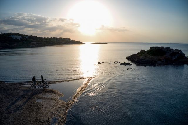 Καβούρι άμπωτη 