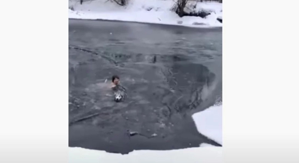 Διάσωση σκύλου: Η στιγμή που 65χρονη πηδά στα παγωμένα νερά για να σώσει ένα ζωάκι