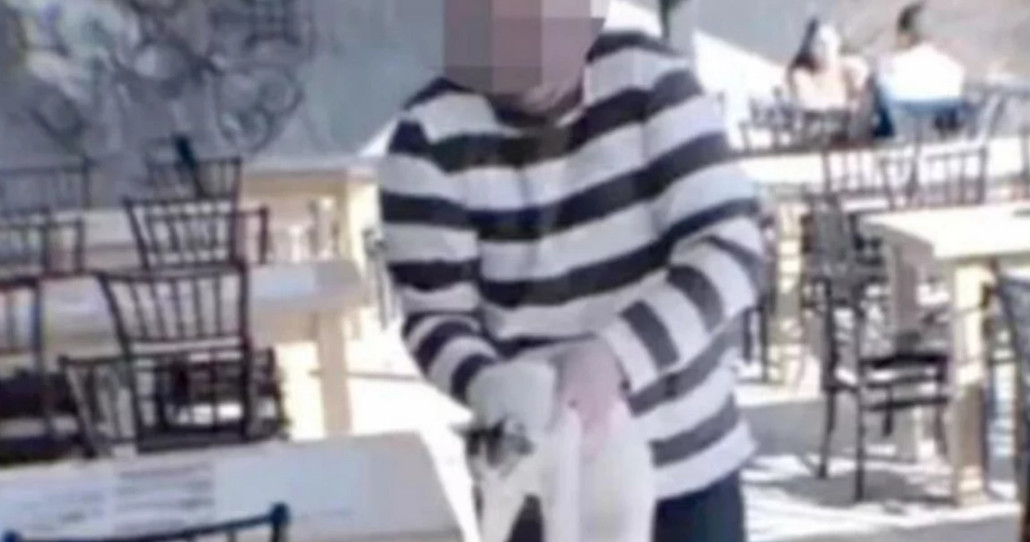 Κακοποίηση γάτας – Σερβία: Πελάτης σε ταβέρνα πέταξε ζωάκι στο ποτάμι γελώντας