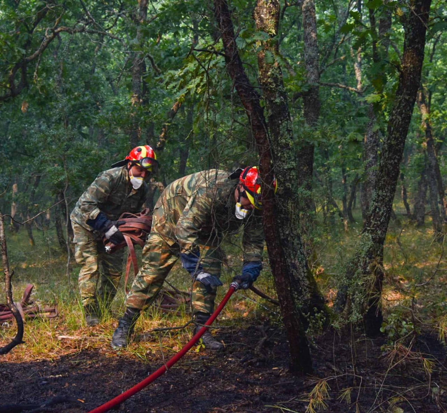 Κίνδυνος πυρκαγιάς αύριο Δευτέρα: “Καμπανάκι” της Πολιτικής Προστασίας