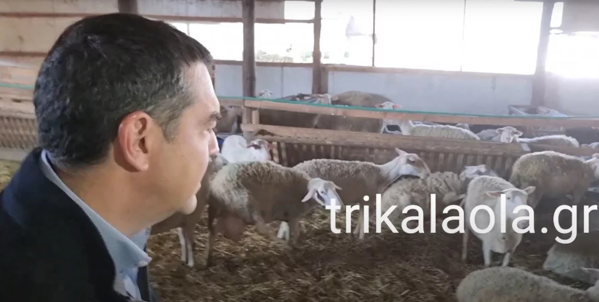 Βίντεο: Τρόμαξαν τα… πρόβατα με τον Τσίπρα