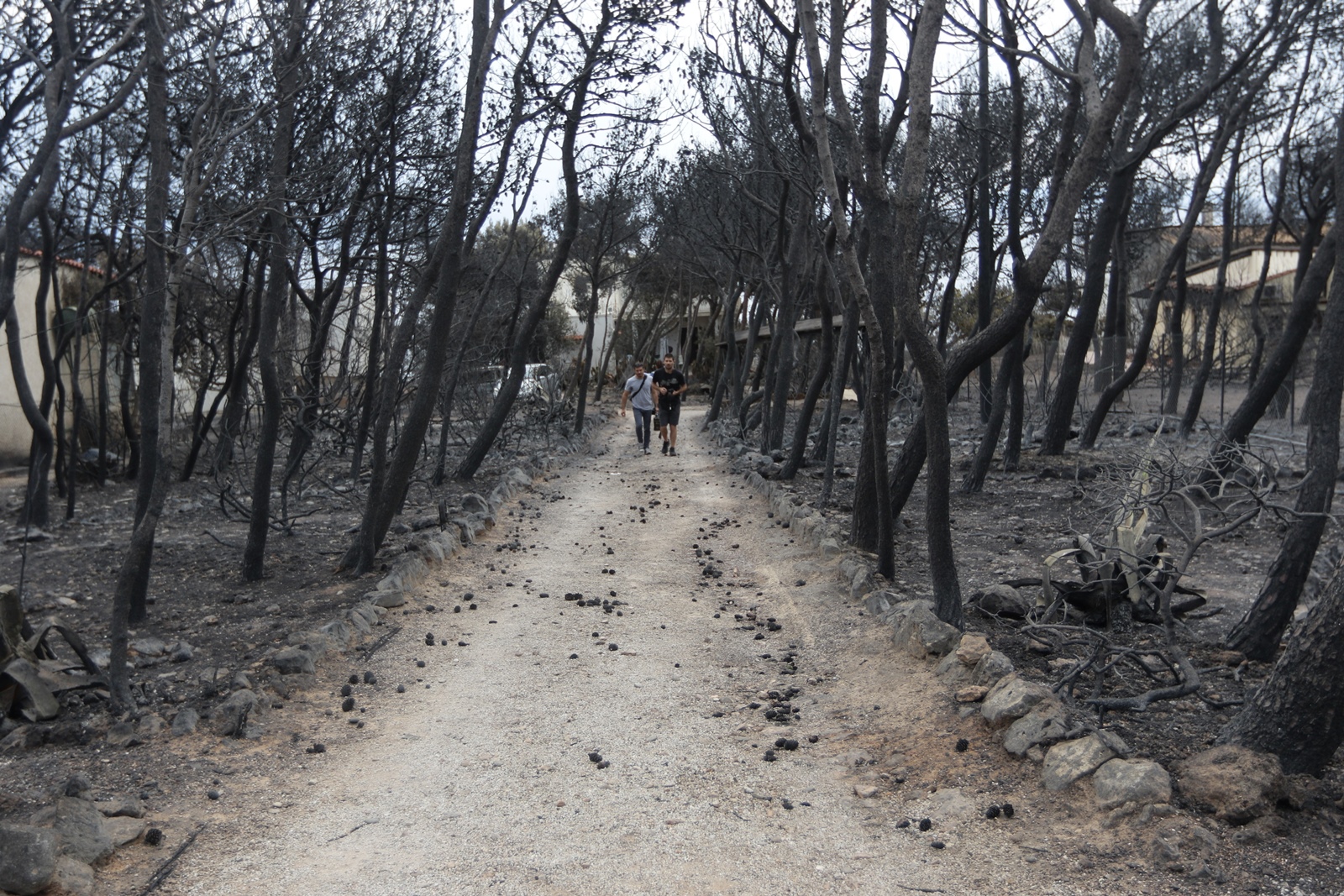 Φωτιά στο Μάτι 2018: Τι λένε οι κάτοικοι για την τακτική των εκκενώσεων