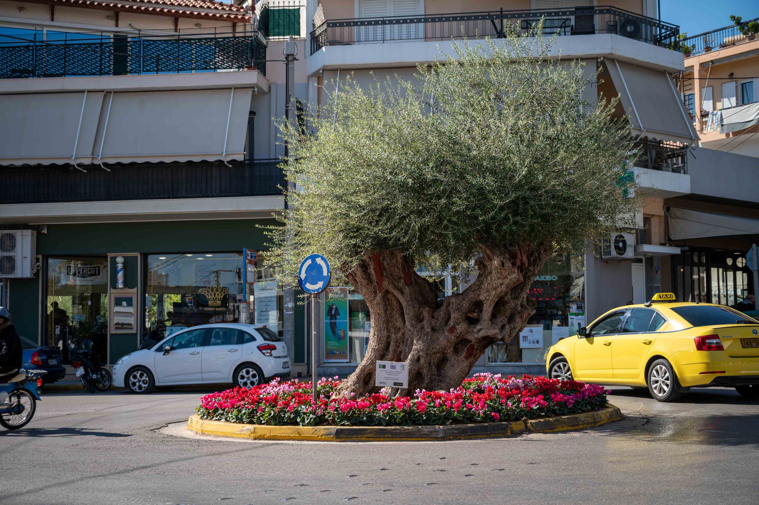 Ίλιον: Στο Πράσινο Ταμείο η ανάπλαση της Ζωοδόχου Πηγής