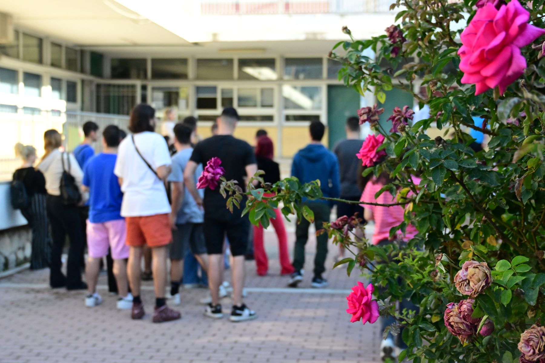 Θέματα ΕΠΑΛ 5/6/2024 – Πανελλήνιες: Σε 4 μαθήματα ειδικότητας εξετάζονται οι υποψήφιοι