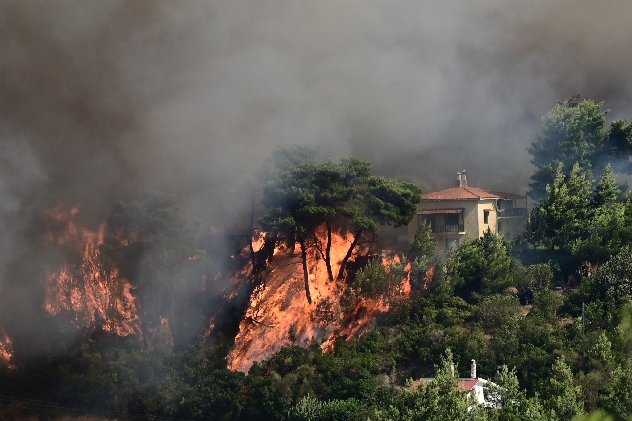 Φωτιά τώρα: Συνεχείς αναζωπυρώσεις σε τέσσερα μέτωπα